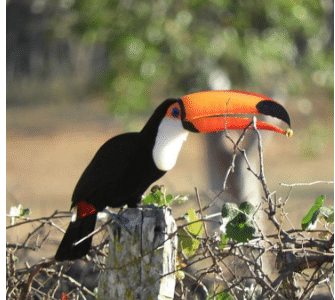 Rancho Reserva Prado