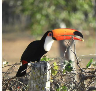 Rancho Reserva Prado